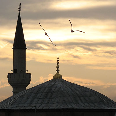 Seagulls flying over the Kucuk Aya Sofia Mosque, Istanbul at The Cheshire Cat Blog