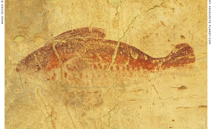 Fish fresco in the Terrace Houses, Ephesus, Turkey at The Cheshire Cat Blog