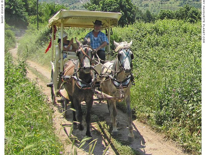 A horse-drawn phaeton carriage taking tourists for a ride around Ephesus, Turkey at The Cheshire Cat Blog