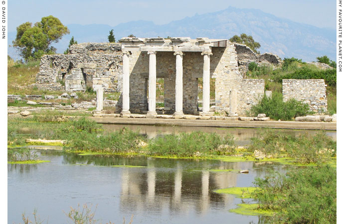 The ruins of an Ionic stoa in ancient Miletus, Turkey at The Cheshire Cat Blog