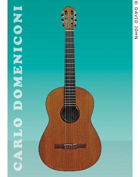Postcard for Carlo Domeniconi concerts in Berlin, March - June 2014