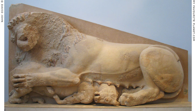 An Archaic relief of a lion devouring a bull, Athens Acropolis at My Favourite Planet