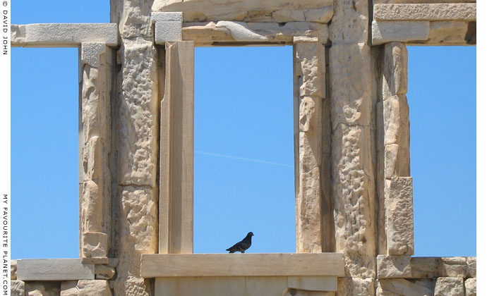Windows in the the west side of the Erechtheion, Acropolis, Athens, Greece at My Favourite Planet