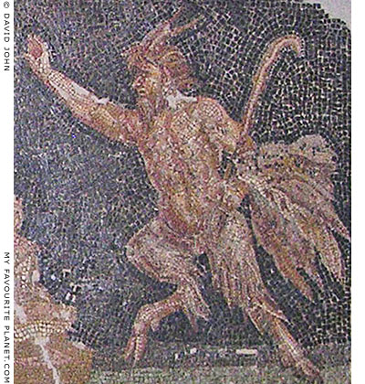 Pan on a floor mosaic from Ephesus at My Favourite Planet