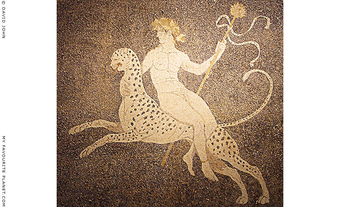 Mosaic depicting Dionysos riding a panther, Pella Archaeological Museum, Macedonia, Greece at My Favourite Planet