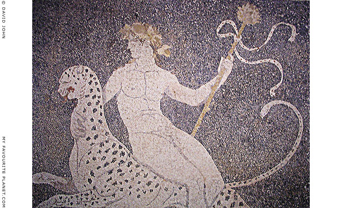Detail of a mosaic depicting the Greek god Dionysos riding a panther, Pella Archaeological Museum, Macedonia, Greece at My Favourite Planet