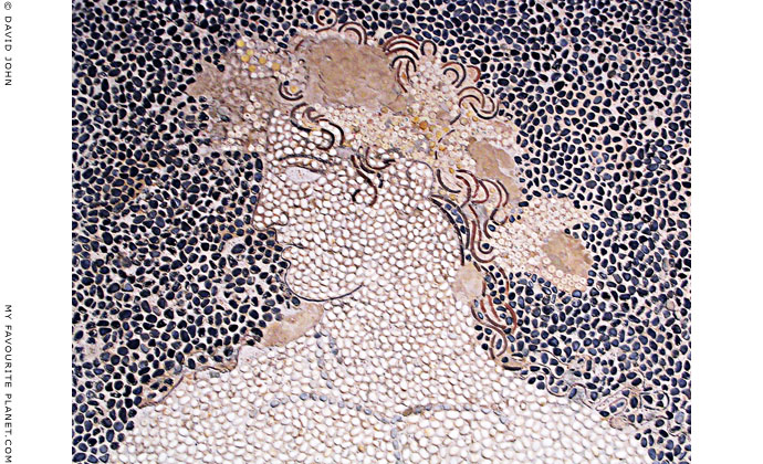 Head of Dionysos from the floor mosaic of Dionysos riding a panther, Pella Archaeological Museum, Macedonia, Greece at My Favourite Planet