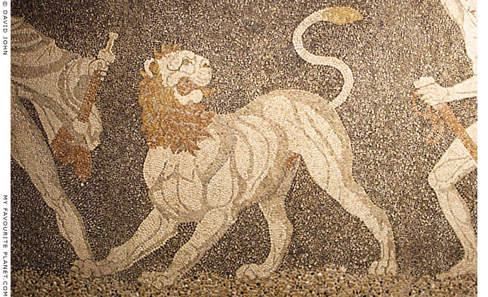 Detail of the Lion Hunt mosaic, Pella Archaeological Museum, Macedonia, Greece at My Favourite Planet
