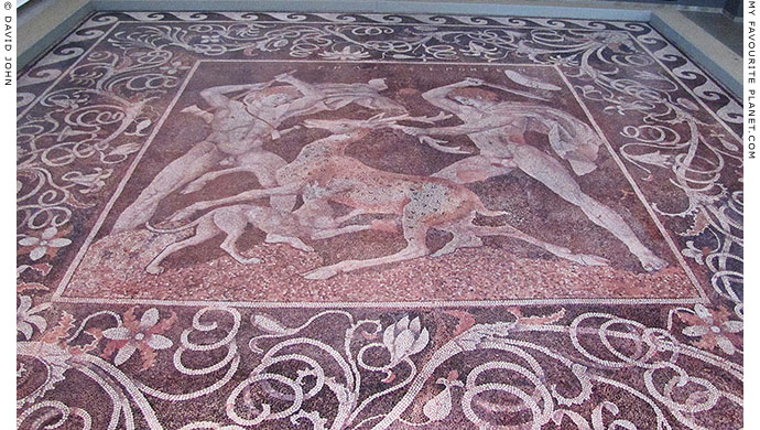 Detail of the Stag Hunt mosaic floor, Pella archaeological site, Macedonia, Greece at My Favourite Planet