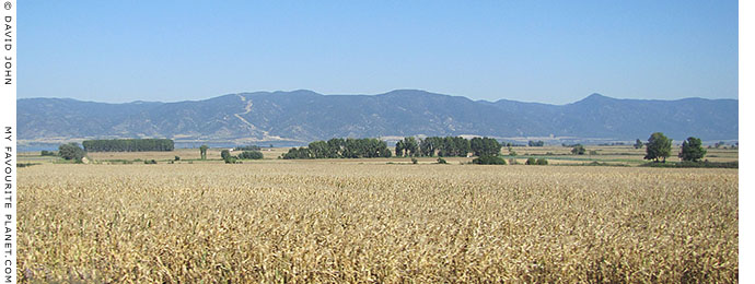 Farmland south of Lake Bolbi, near the site of ancient Apollonia, Macedonia, Greece