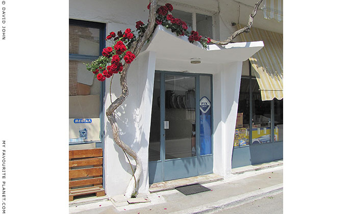 Red roses around a shop doorway in Olympiada, Halkidiki, Macedonia, Greece at My Favourite Planet