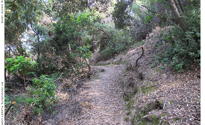 A wooded path in ancient Stagiera, Halkidiki, Macedonia, Greece at My Favourite Planet