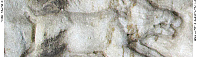Detail of a marble relief depicting a wild boar (Kapros) at My Favourite Planet