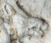 Detail of a marble relief depicting a wild boar Detail of a marble relief depicting a wild boar