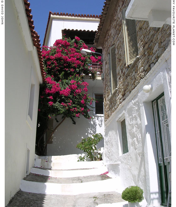 A steep stepped street in Karlovasi, Samos, Greece at My Favourite Planet