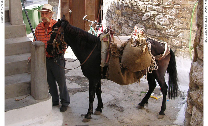 A packhorse and its owner in a sidestreet in Neo Karlovasi, Samos, Greece at My Favourite Planet