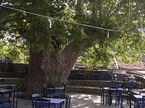 A plateia (square) in Chora village, Samothraki island, Greece at My Favourite Planet