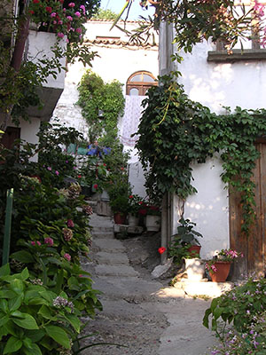 Gardening in Chora village, Samothraki, Greece at My Favourite Planet