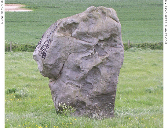 Standing stone along West Kennet Avenue, Avebury, Wiltshire at My Favourite Planet