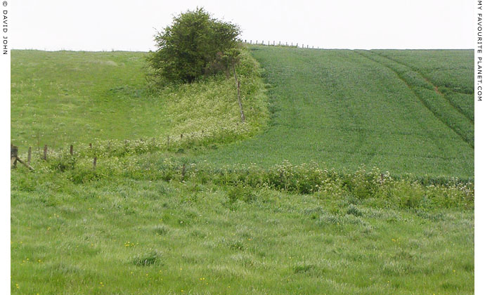 Waden Hill from West Kennet Avenue, Wiltshire at My Favourite Planet