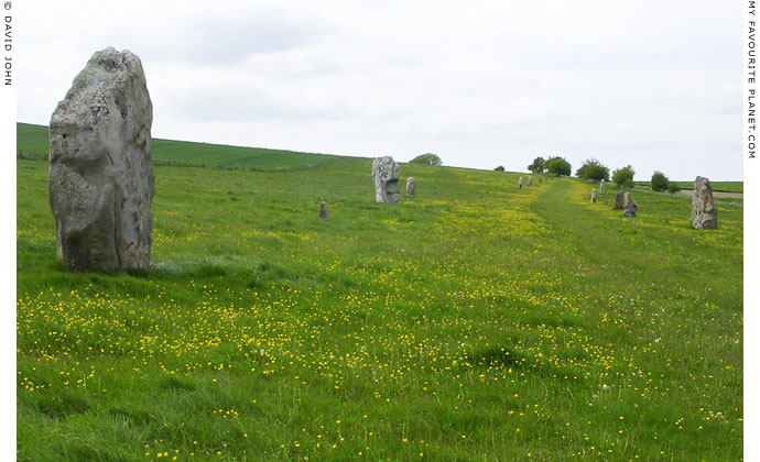 View northwards along West Kennet Avenue towards Avebury at My Favourite Planet