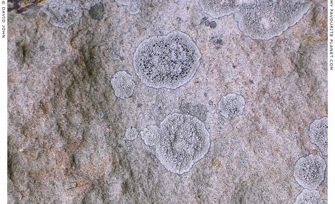 Lichen on one of the standing stones of West Kennet Avenue, Wiltshire at My Favourite Planet