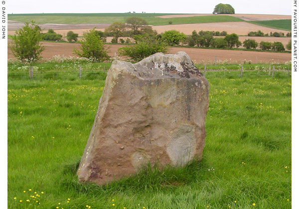 Standing stone on the east side of West Kennet Avenue, Wiltshire at My Favourite Planet