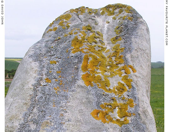 Lichen growing on a sarsen stone on West Kennet Avenue, Wiltshire at My Favourite Planet