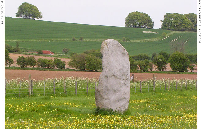 Springtime on West Kennet Avenue, Avebury, Wiltshire at My Favourite Planet