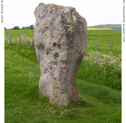 Standing stone along West Kennet Avenue, Wiltshire at My Favourite Planet