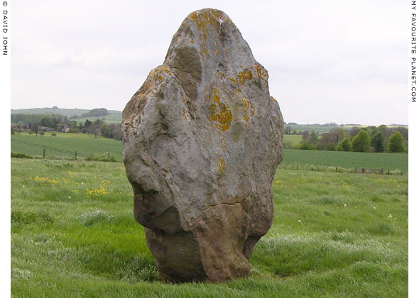 Standing stone along West Kennet Avenue, Wiltshire at My Favourite Planet