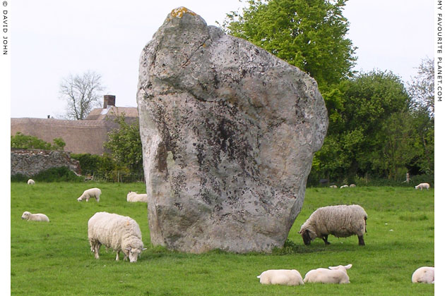 A standing stone in the circle of Avebury Henge, Wiltshire at My Favourite Planet