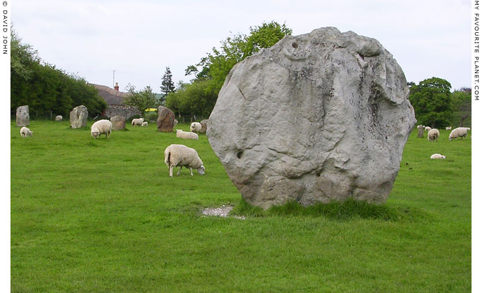 Standing stones and grazing sheep in the circle of Avebury Henge at My Favourite Planet