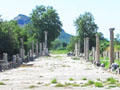 The Arcadian Way, Ephesus, Turkey at My Favourite Planet