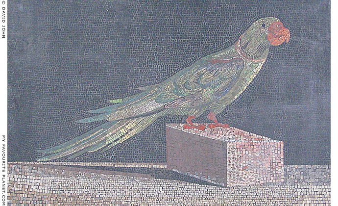 Mosaic of an Alexandrine parakeet from Pergamon at My Favourite Planet