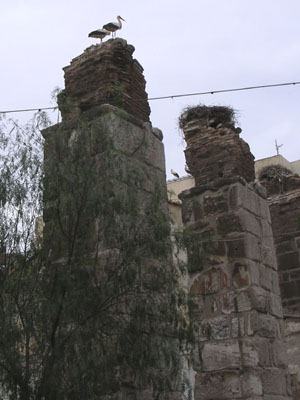 Storks' nest on ruins of the Byzantine aqueduct in Selcuk, Turkey at My Favourite Planet