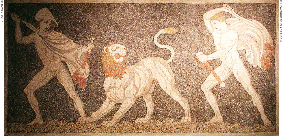 The Lion Hunt mosaic, Pella Archaeological Museum at My Favourite Planet