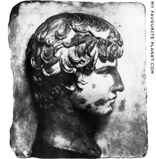 The head of Antinous, collection of Mr. Charles L. Hutchinson, Chicago at My Favourite Planet