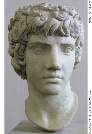 Marble head of Antinous wearing a crown of myrtle at My Favourite Planet