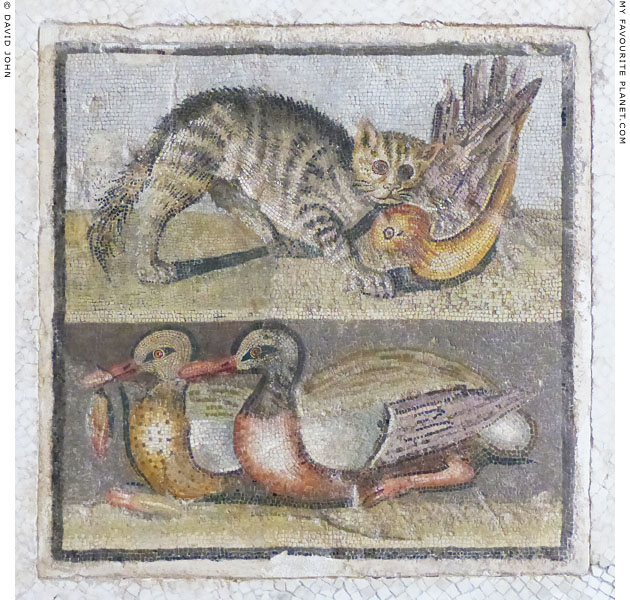 A cat and ducks on a mosaic from Rome at My Favourite Planet