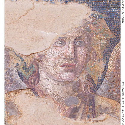 The head of Dionysus of the mosaic from the House of Dionysos, Delos at My Favourite Planet
