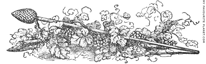 A drawing of a thyrsos with vines by Charles Fellows at My Favourite Planet