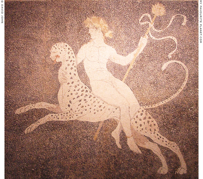 Dionysus riding a panther on a Pebble mosaic in Pella, Macedonia, Greece at My Favourite Planet