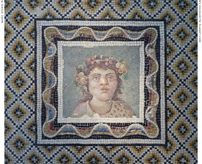 Mosaic emblema depicting Dionysus as a child at My Favourite Planet